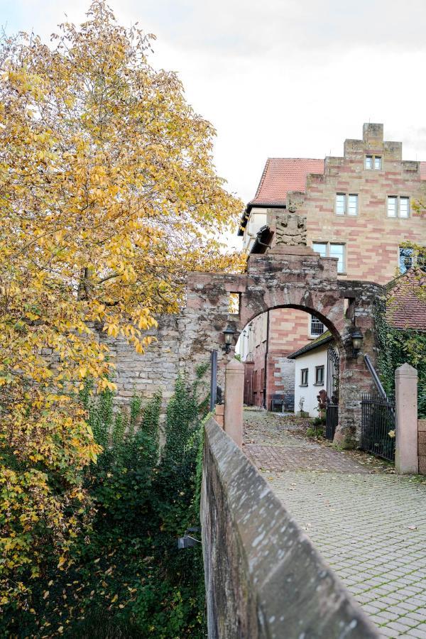 Eventlocation & Hotel Schloss Neuburg Obrigheim المظهر الخارجي الصورة