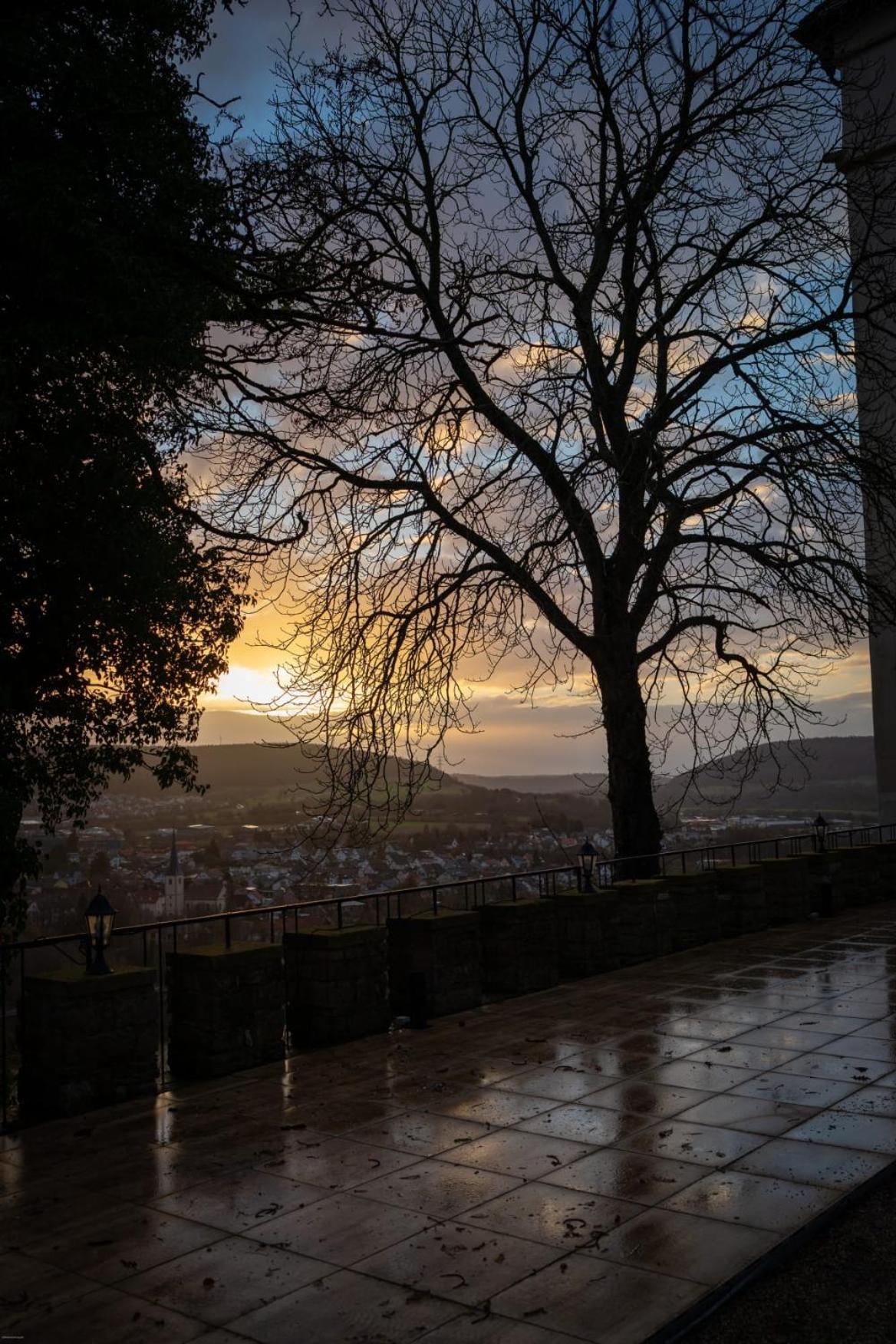 Eventlocation & Hotel Schloss Neuburg Obrigheim المظهر الخارجي الصورة