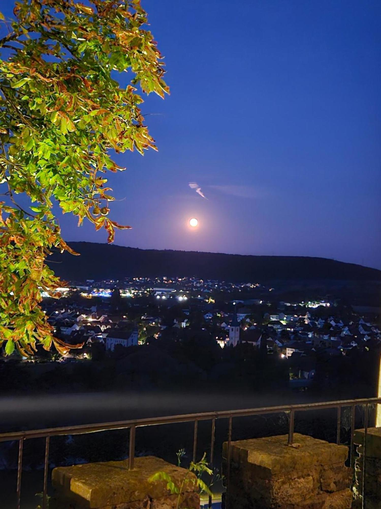 Eventlocation & Hotel Schloss Neuburg Obrigheim المظهر الخارجي الصورة